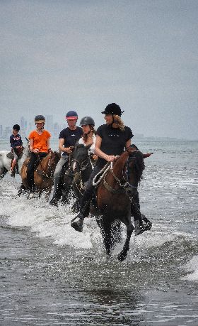 A group of people raiding in the beach